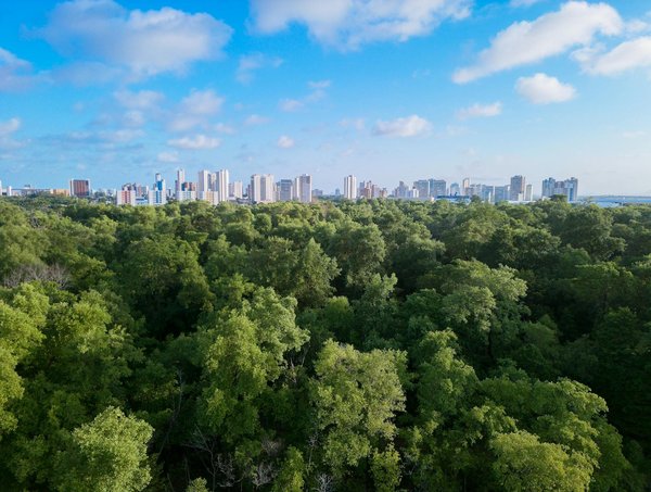 Bilan de santé et grossesse sur le lieu de travail: quels sont vos droits ?